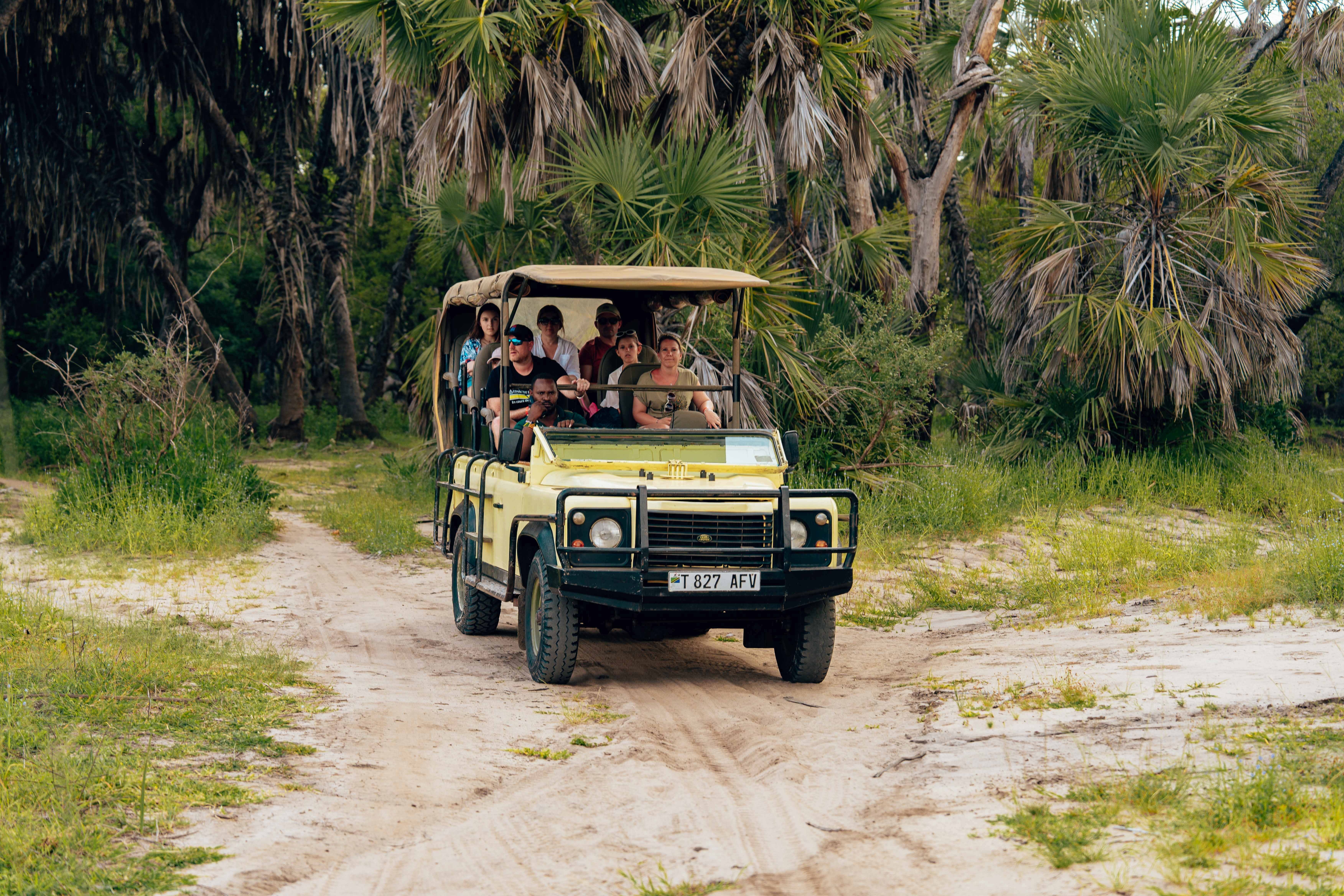 Group & Family Safaris