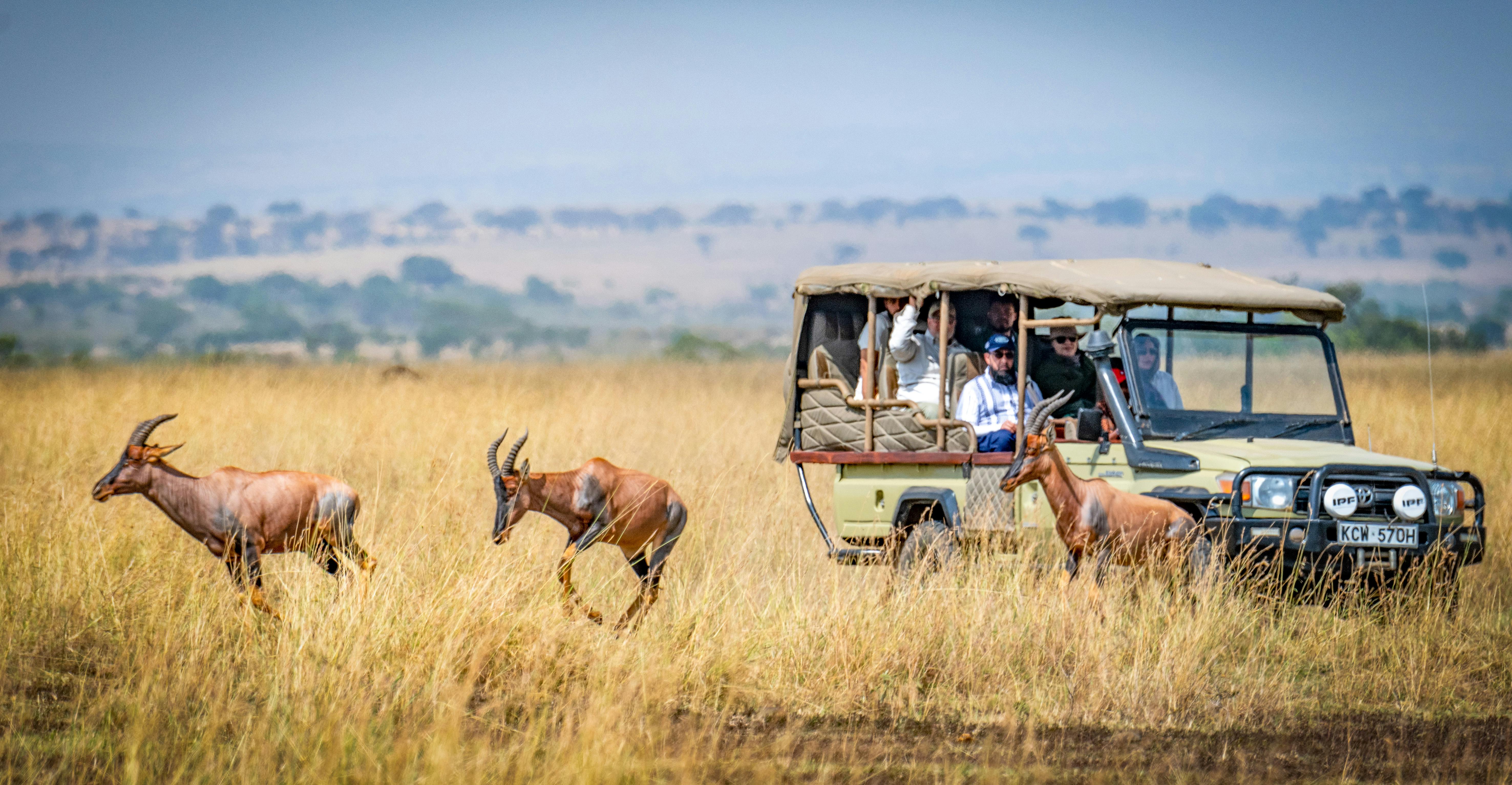 Lodge & Hotel Bookings